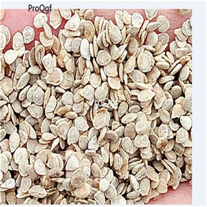 19usd Ngryise 6000Pcs A Set florida beefsteak series tomato seed