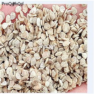 19usd Ngryise 6000Pcs A Set dwarf cherry tomato seed