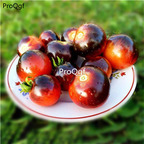 19usd Ngryise 6000Pcs A Set blue berry cherry tomato seed