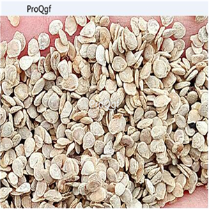 19usd Ngryise 6000Pcs A Set blue berry cherry tomato seed