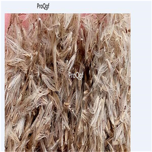 19usd Ngryise 8000Pcs A Set red feather pampas seed