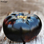 19usd Ngryise 6000Pcs A Set black beefsteak tomato seed