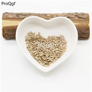 19usd Ngryise 6000Pcs A Set black beefsteak tomato seed
