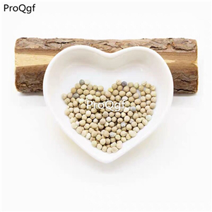 19usd Prodgf 2000Pcs A Set snow on the mountain flower yinbiancui seed