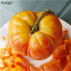 19usd Prodgf 6000Pcs A Set pineapple tomato series seed