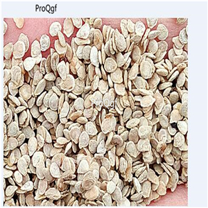 19usd Prodgf 6000Pcs A Set pineapple tomato series seed