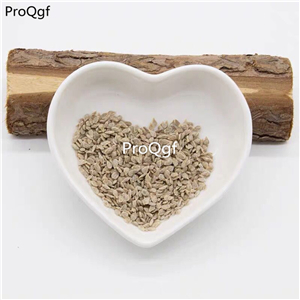 19usd Prodgf 6000Pcs A Set midnight snack tomato seed
