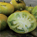 19usd Prodgf 6000Pcs A Set yellow zebra tomato seed