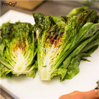 19usd Prodgf 6000Pcs A Set rare united states lettuce seed