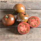 19usd Prodgf 6000Pcs A Set black prince tomato seed