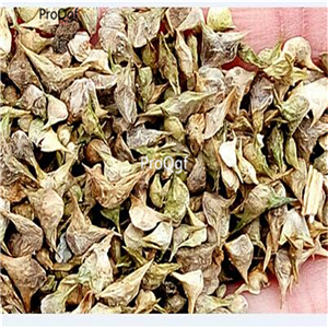 19usd Prodgf 6000Pcs A Set american spinach seed