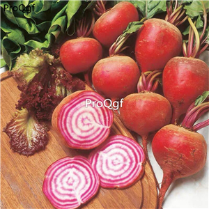 19usd Prodgf 2000Pcs A Set icecream series beet seed