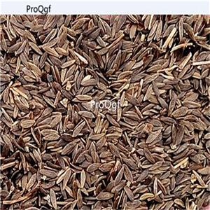 19usd Prodgf 6000Pcs A Set wonder lettuce seed