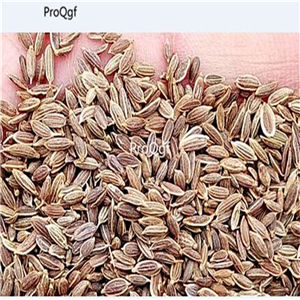19usd Prodgf 6000Pcs A Set purple creeping thymus thyme qianlixiang seed