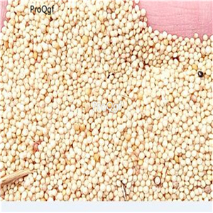 19usd Prodgf 6000Pcs A Set tricolor beautiful amaranthus zilimi seed