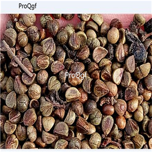 19usd Ngryise 3000Pcs A Set Parthenocissus tricuspidata boston ivy seed