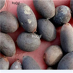 19usd Ngryise 200Pcs A Set lemon cake lotus seed