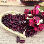 19usd Ngryise 200Pcs A Set purple bean seed