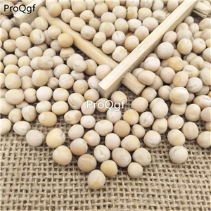19usd Ngryise 200Pcs A Set purple peas wandou seed