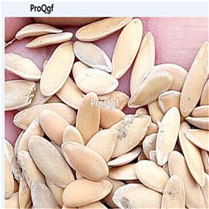 19usd Ngryise 500Pcs A Set gold mix melon seed