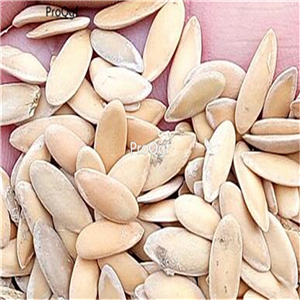 19usd Ngryise 500Pcs A Set changing color melon seed