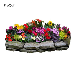 19usd Ngryise 30000Pcs A Set mixed random species wild flower seed