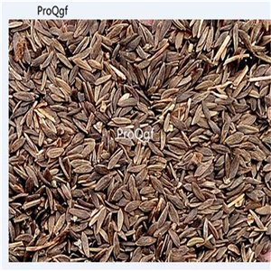 19usd Ngryise 6000Pcs A Set icecream series red lettuce seed