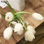 19usd Ngryise 20Pcs A Set mountain white susu tulip bulb