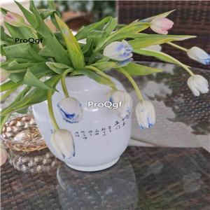 19usd Ngryise 20Pcs A Set brandy white blue tulip