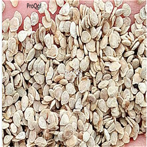 19usd Ngryise 3000Pcs A Set bling series tomato seed