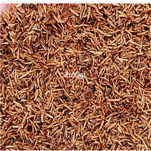 19usd Ngryise 3000Pcs A Set lvmaoqiu zhenzhumei seed