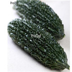 19usd Ngryise 300Pcs A Set yunnan black bitter melon seed