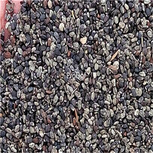 19usd Ngryise 8000Pcs A Set Mesona chinensis bohe seed