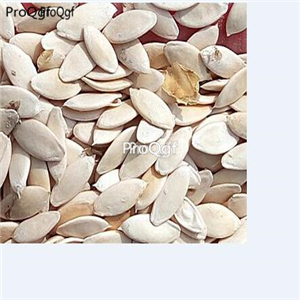 19usd Prodgf 6000Pcs A Set united states sweet  cucumber seed