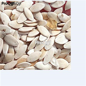 19usd Prodgf 6000Pcs A Set africa cucumber seed