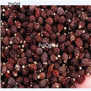 19usd Prodgf 2000Pcs A Set Cananga Odorata Cananga Tree seed