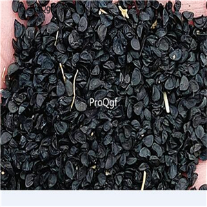 19usd Prodgf 50000Pcs A Set Allium Tuberosum Garlic Chives Oriental Garlic  seed