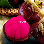 19usd Prodgf 100Pcs A Set Garcinia Mangostana seed