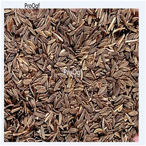 19usd Prodgf 9000Pcs A Set Asparagus Lettuce Lactuca Sativa Lettuce seed