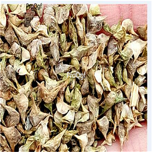 19usd Ngryise 5000Pcs A Set Ipomoea Aquatica Water Spinach Ipomoea Forsk bocai seed