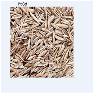 19usd Ngryise 30000Pcs A Set Festuca Arundinacea Reed Fescue seed