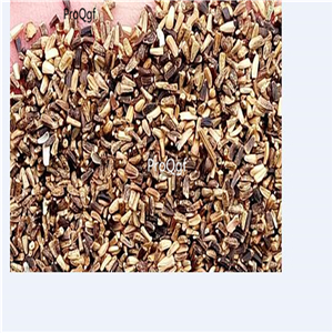 19usd Ngryise 30000Pcs A Set Cichorium Intybus Common Chicory seed