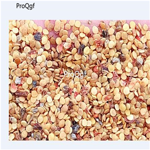 19usd Ngryise 5000Pcs A Set  Physalis Alkekengi Chinese-Lantern Winter Cherry seed