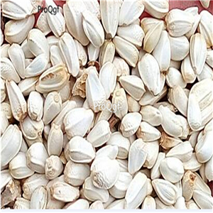 19usd Ngryise 3000Pcs A Set  Carthamus Tinctorius Common Safflower seed