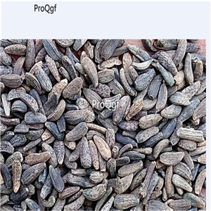 19usd Ngryise 5000Pcs A Set  Arctium Lappa Greater Burdock Beggar's seed