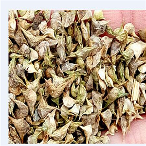 19usd ngryise 3000pcs Malabar Spinach Basella Alba Ceylon Spinach seed