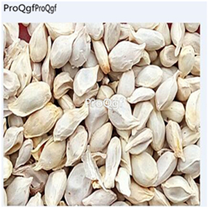 19usd Ngryise 3000Pcs A Set   Citrus reticulata  seed