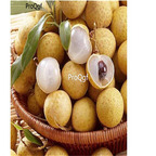 19usd Ngryise 300Pcs A Set Dimocarpus longan seed