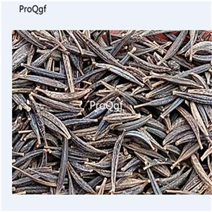 19usd Prodgf 30000Pcs A Set Cosmos Sulphureus Yellow Cosmos  seed