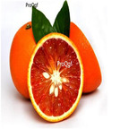 19usd Prodgf 3000Pcs A Set blood orange seed